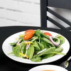 Acopa 9" Bright White Wide Rim Rolled Edge Stoneware Plate - 24/Case