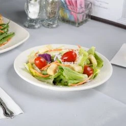 Acopa 8 1/4" Ivory (American White) Wide Rim Rolled Edge Stoneware Plate - 36/Case