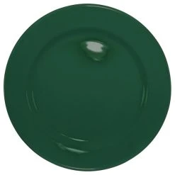 International Tableware CA-16-G Cancun 10 1/4" Green Stoneware Rolled Edge Wide Rim Plate - 12/Case