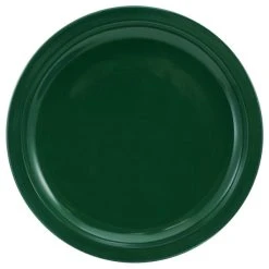 International Tableware CAN-16-G Cancun 10 1/2" Green Stoneware Rolled Edge Narrow Rim Plate - 12/Case