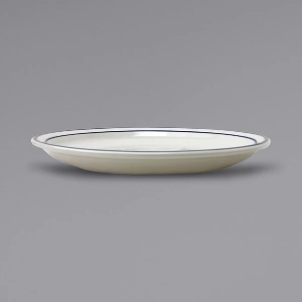 International Tableware DA-16 Danube 10 1/2" Ivory (American White) Blue Speckled Narrow Rim Stoneware Plate With Blue Bands - 12/Case 2 International Tableware DA-16 Danube 10 1/2" Ivory (American White) Blue Speckled Narrow Rim Stoneware Plate With Blue Bands - 12/Case - Image 2