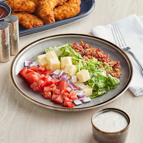 Sample - Acopa Keystone 10 1/2" Granite Gray Stoneware Coupe Plate 1 Sample - Acopa Keystone 10 1/2" Granite Gray Stoneware Coupe Plate