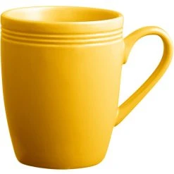 Sample - Acopa Capri 12 Oz. Mango Orange China Mug