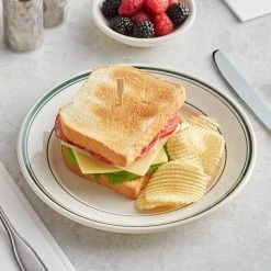 Acopa 9" Ivory (American White) Stoneware Wide Rim Plate With Green Bands - 24/Case