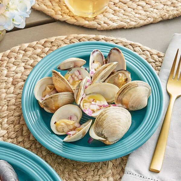 Acopa Capri 7" Caribbean Turquoise Stoneware Plate - 12/Pack 1 Acopa Capri 7" Caribbean Turquoise Stoneware Plate - 12/Pack