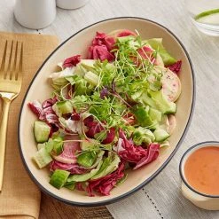 Sample - Acopa Embers 9 1/2" X 6 1/2" Harvest Tan Matte Coupe Stoneware Platter