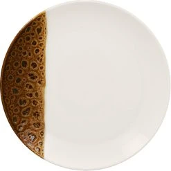 RAK Porcelain Wild 10 5/8" Brown Round Porcelain Flat Coupe Plate - 12/Case